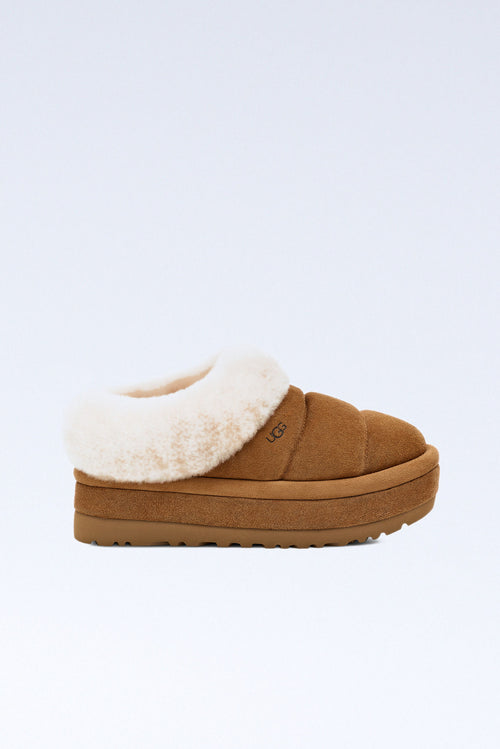 Ugg Slipper Tazzlita Wedge Chestnut Women