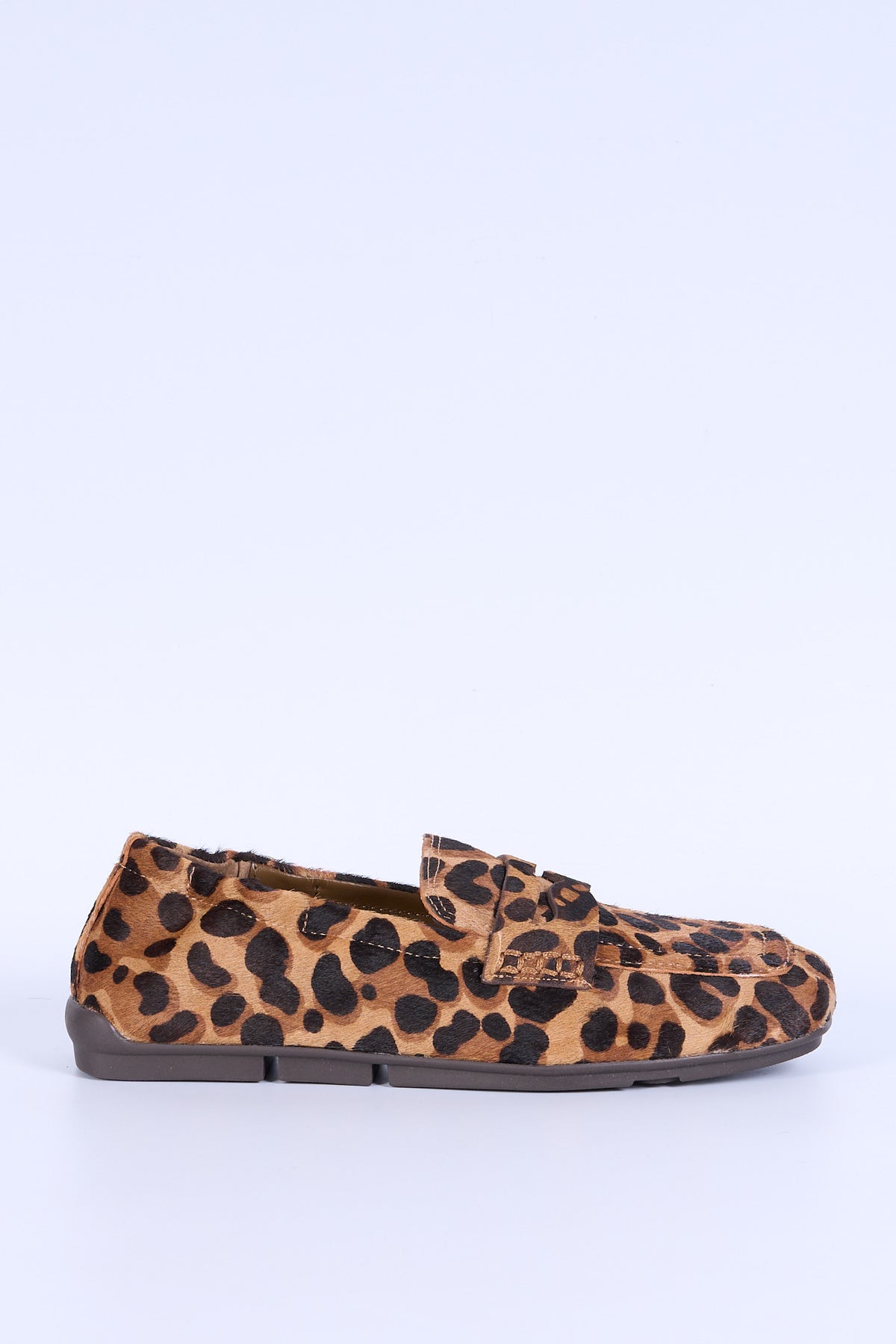 Ash Mocassino Cavallino Leopardo Donna-1