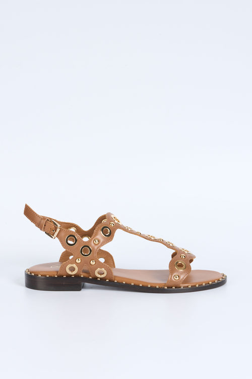 Ash Sandalo Pop Rivetti Cannella Donna