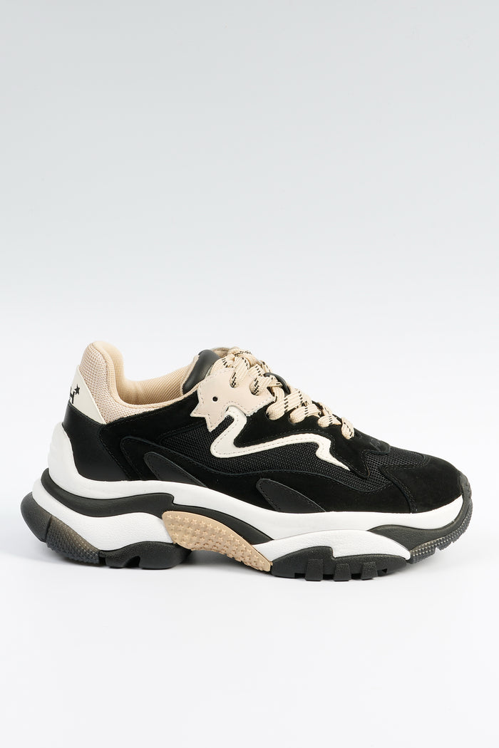 Ash Sneaker Addict 03 Nero Donna