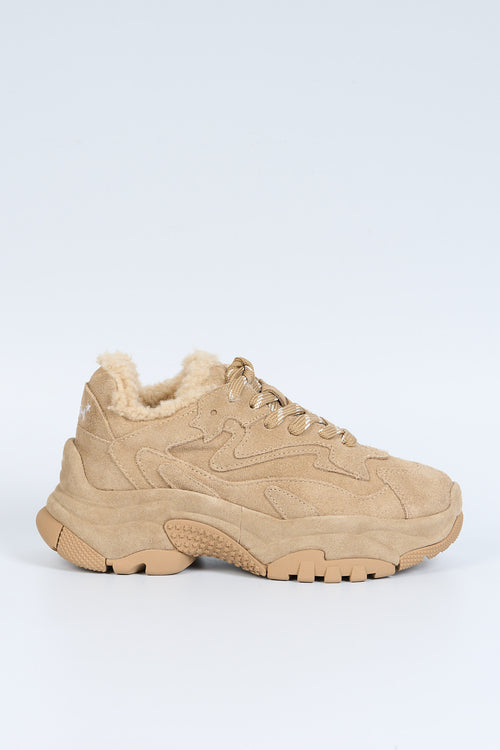Ash Sneaker Addict Pelo Nocciola Donna