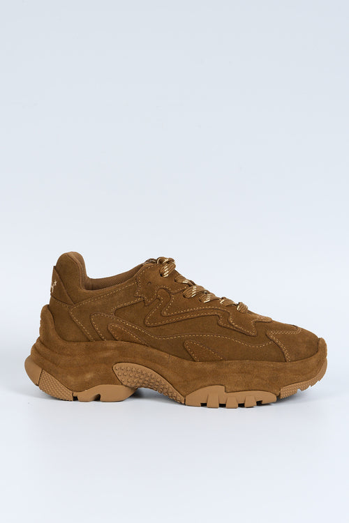 Ash Sneaker Addict bruciato Donna