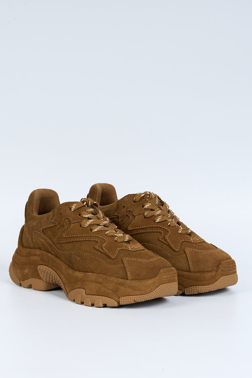 Ash Sneaker Addict bruciato Donna-2