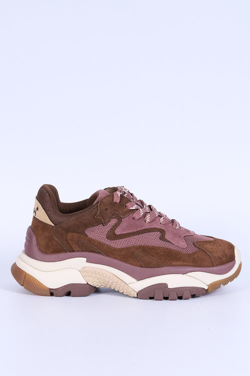 Ash Sneakers  Marrone/rosa Donna