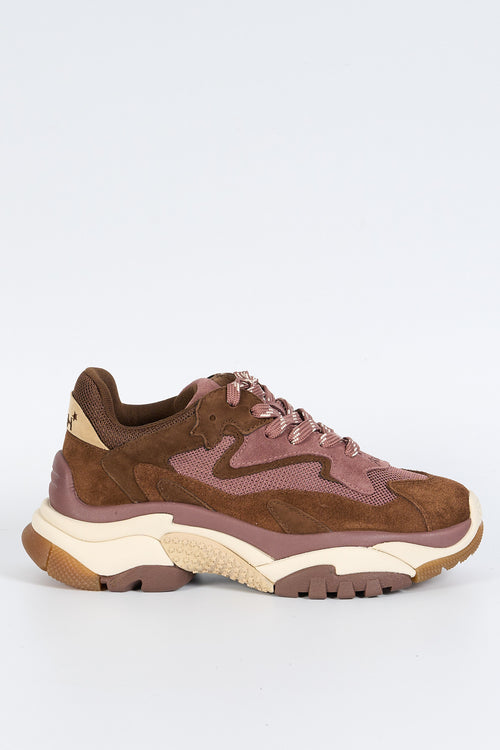 Ash Sneakers ADDICT Marrone/rosa Donna