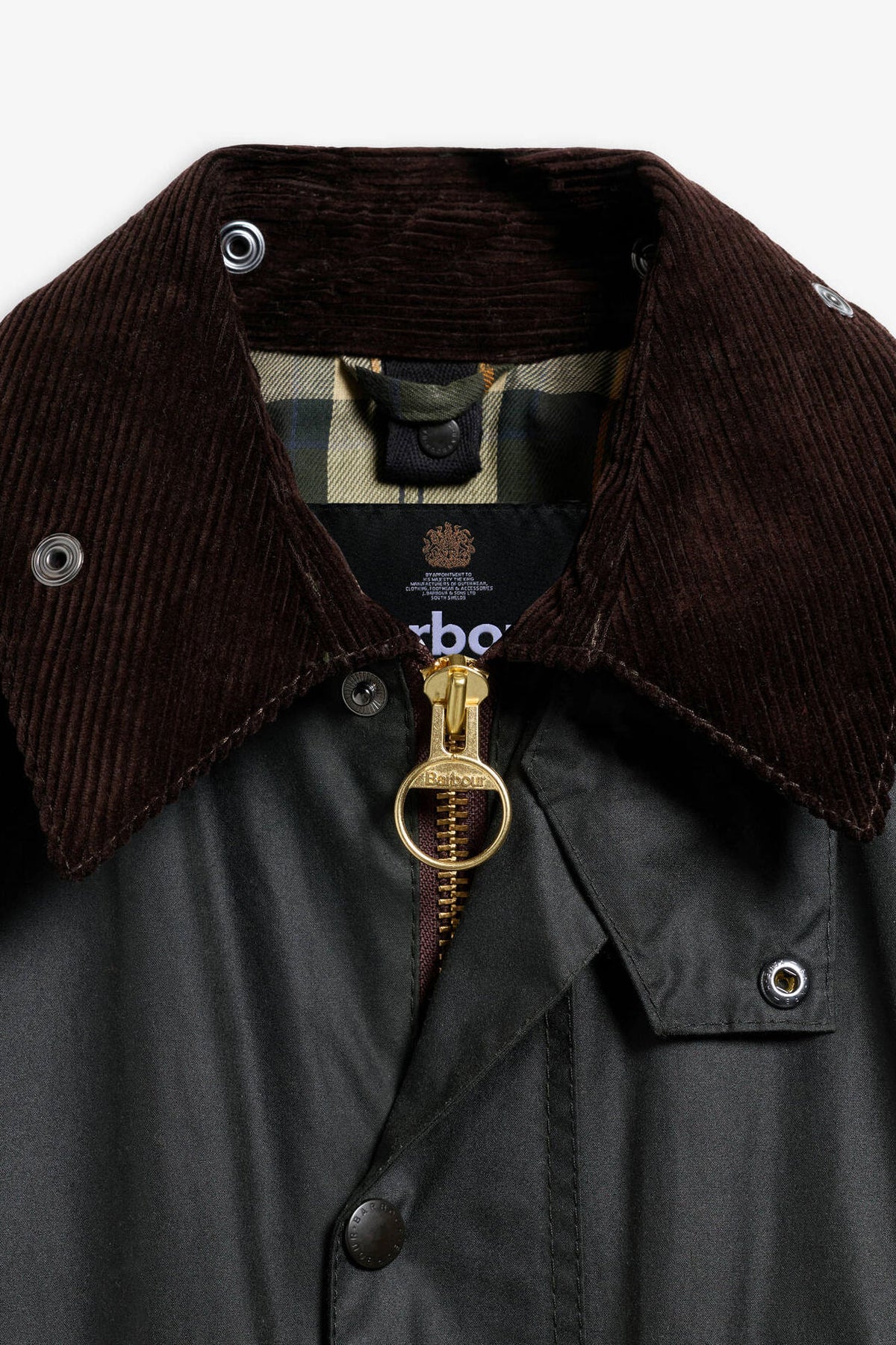 Barbour BEDALE WAX Salvia Uomo in cotone cerato-6