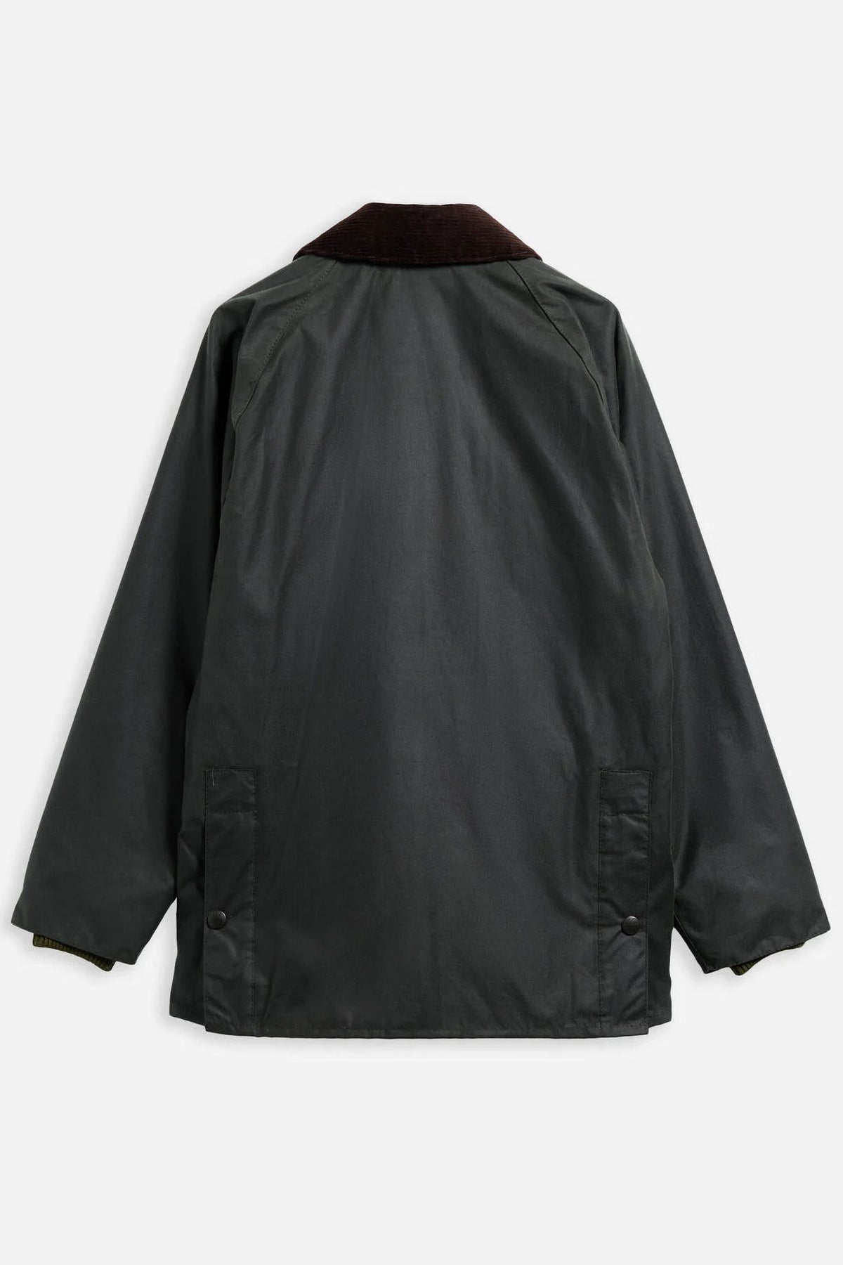 Barbour BEDALE WAX Salvia Uomo in cotone cerato-7
