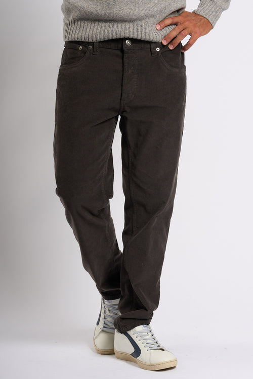 Dondup Pantalone Brighton Velluto Cioccolato Uomo