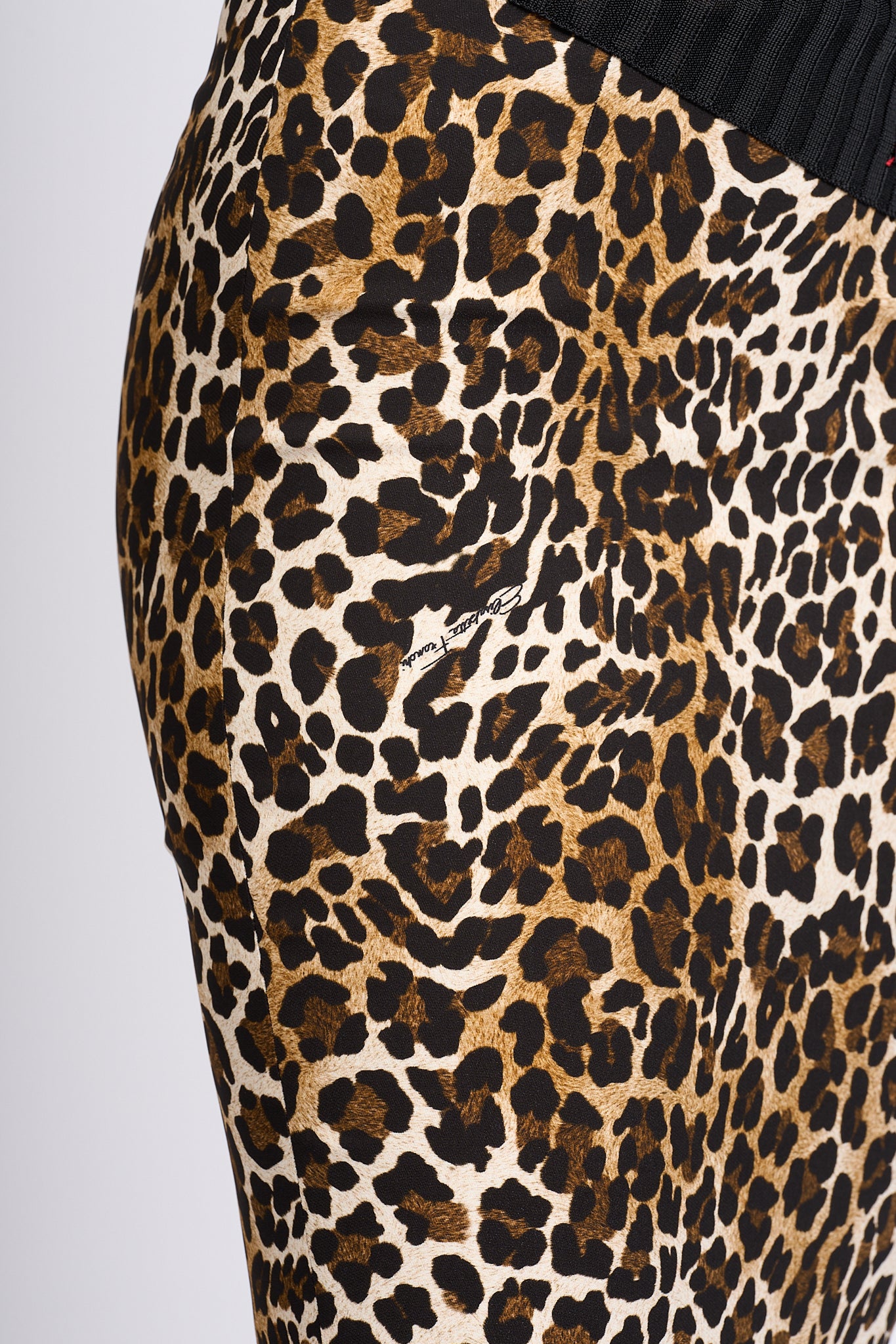 Elisabetta Franchi Women's Animal Print Longuette Skirt-6