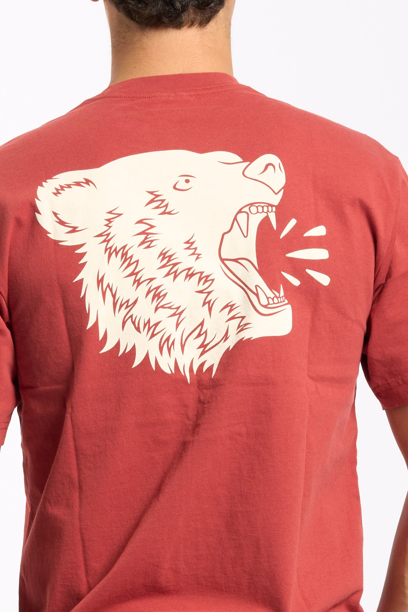 Filson T-Shirt Stampa Orso Retro Rosso Uomo-4