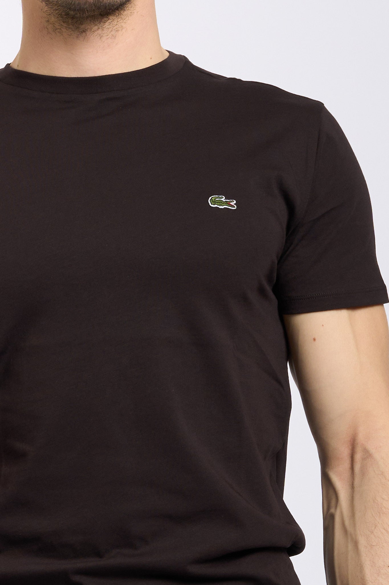 Lacoste T-shirt Cotone Leggero Marrone Uomo-2