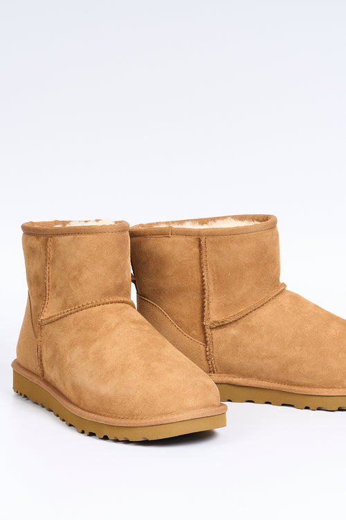 Ugg Stivale Classic Mini  Castagna Uomo-2