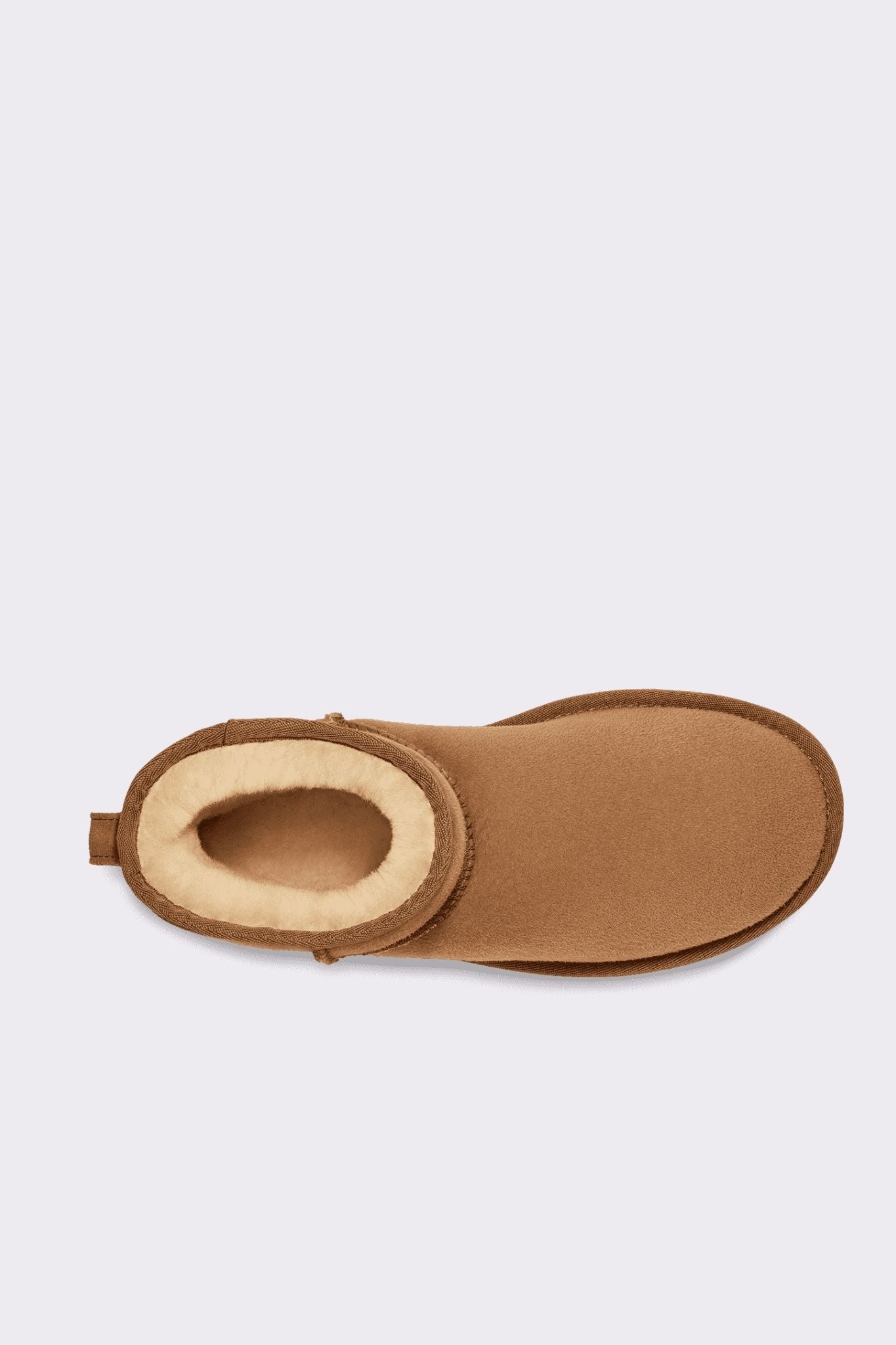 Ugg Women's Classic Mini Chestnut Boot-4