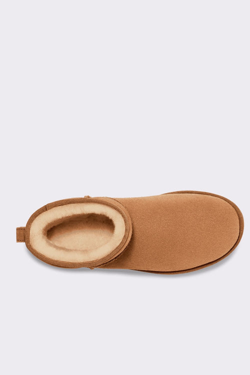 Ugg Stivale Classic Mini  Castagna Uomo-2